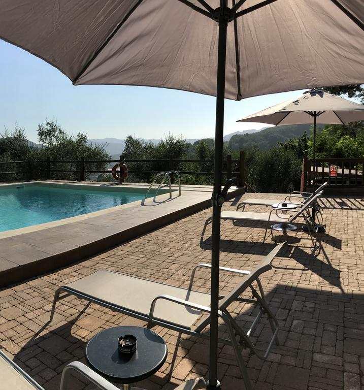 Agriturismo Il Pino San Martino in Freddana Exterior foto