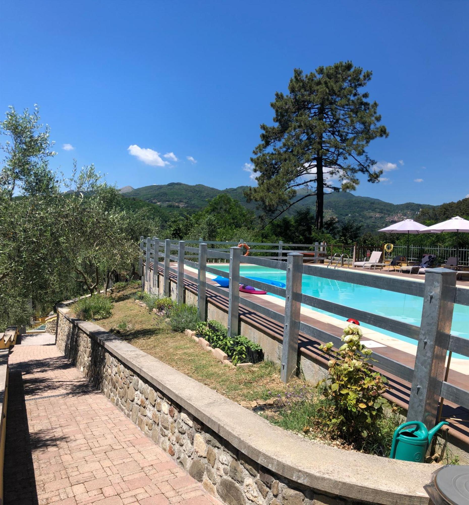 Agriturismo Il Pino San Martino in Freddana Exterior foto